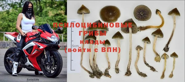 ешки Лабытнанги