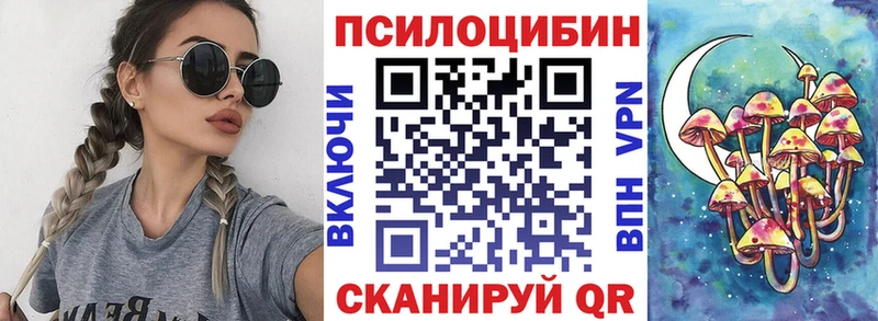 дарнет шоп  Дыгулыбгей  Псилоцибиновые грибы мицелий 